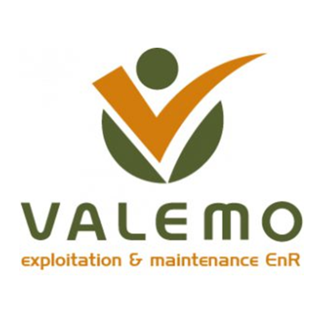 Valemo Logo